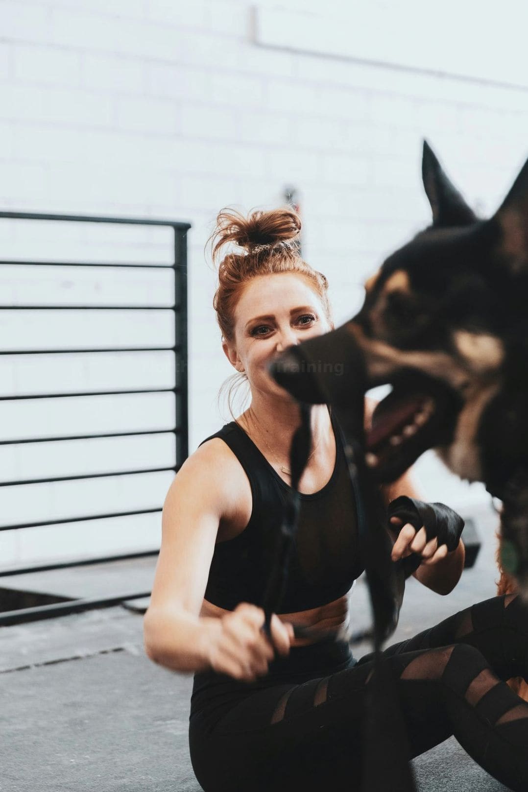 Puppy socialization and foundation training